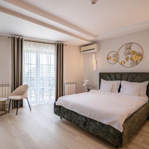 Camera dubla standard