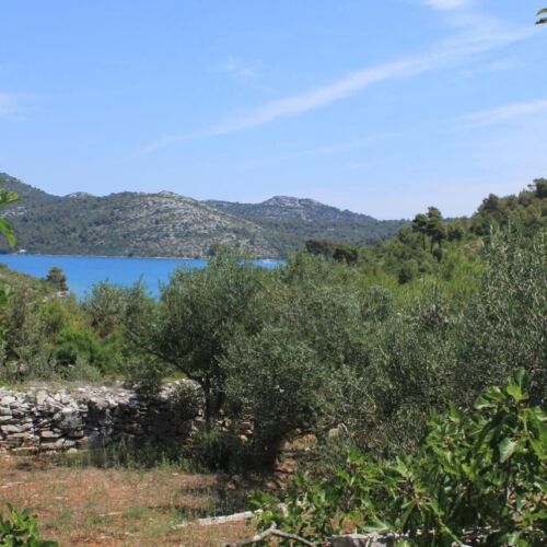 Pogled na vrt Prizemni za 4 osoba(e) kuća za odmor