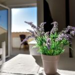 1-Zimmer-Apartment für 2 Personen mit Klimaanlage und Aussicht auf das Meer AS-23187-e