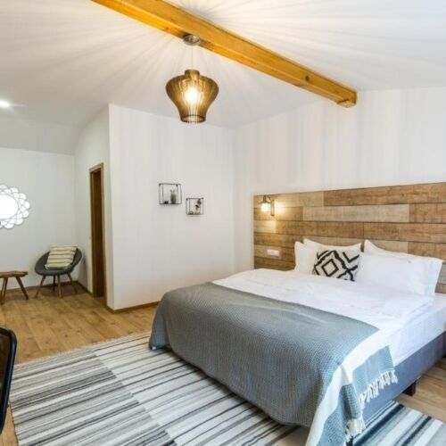 Camera dubla standard