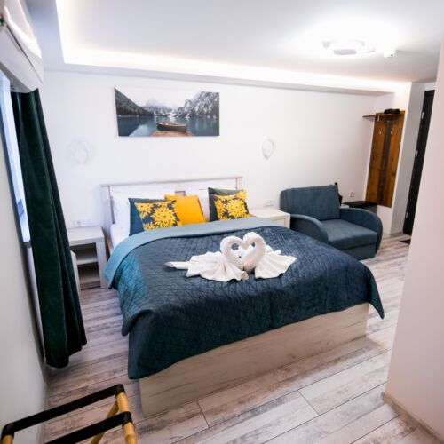 Camera dubla business deluxe (se poate solicita pat suplimentar)