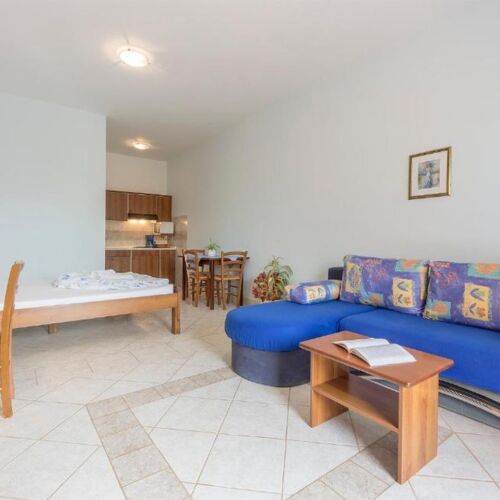 Studio Turistický Apartman s manželskou postelí s 1 ložnicí