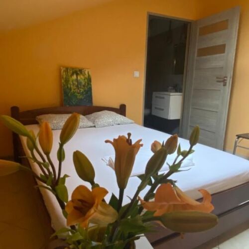 Apartament 2-osobowy na piętrze na poddaszu z 1 pomieszczeniem sypialnianym