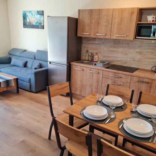 Studio Rodinný Suita pro 4 os. s 1 ložnicí (s možností přistýlky)