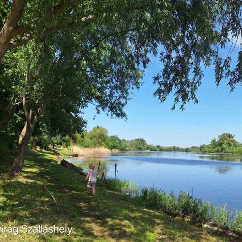 Domek letniskowy 2-osobowy z klimatyzacją z dostępem do ogrodu