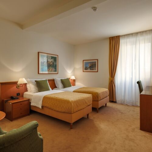 Standard Air Conditioned Twin Room