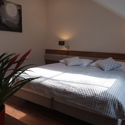 Deluxe Doppelzimmer mit Aussicht auf den Wald (Zusatzbett möglich)