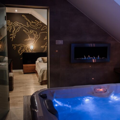 Exclusive 1-Zimmer-Apartment für 2 Personen mit Aussicht auf die Berge (Zusatzbett möglich)