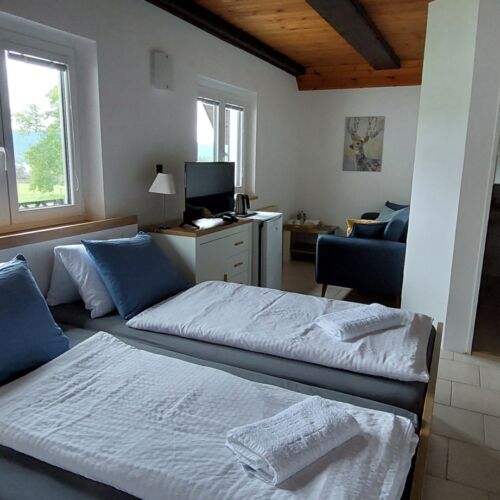 Camera dubla familial(ă) cu balcon (se poate solicita pat suplimentar)