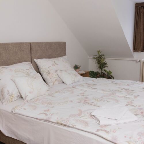Classic Air Conditioned Twin Room