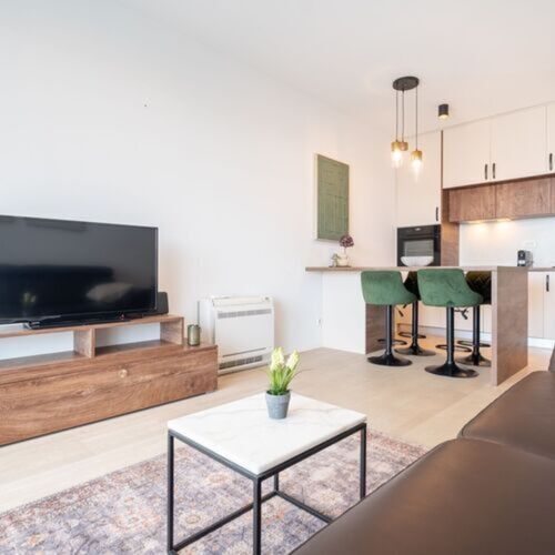 Comfort 1-Room Apartment for 2 Persons air Conditioned