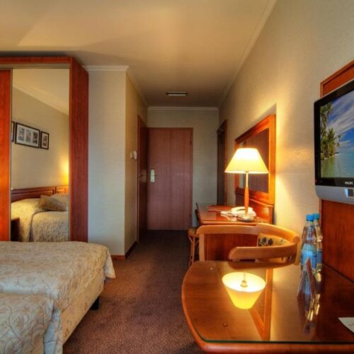 Camera twin cu baie cu vedere spre grădină