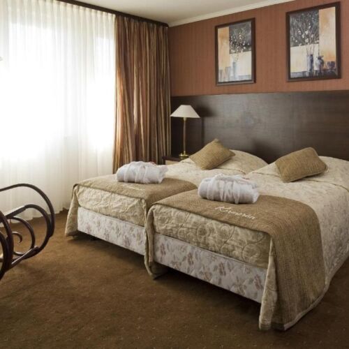 Camera twin deluxe cu baie