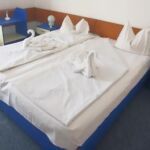 Hotel Banat - 207