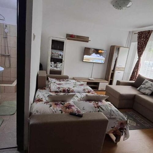 Apartament cu 1 camera pentru 4 pers.