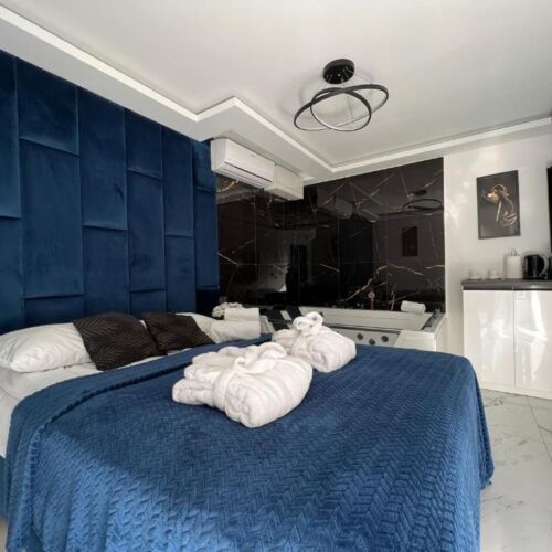 Apartament 2-osobowy Studio z 1 pomieszczeniem sypialnianym