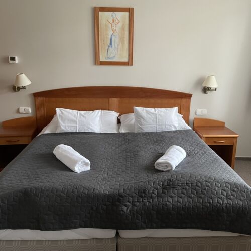 Standard Plus 1-Room Family Apartment for 2 Persons