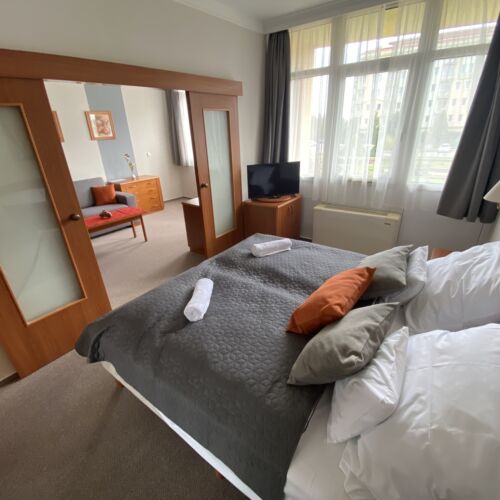 Standard Plus 1-Room Family Apartment for 2 Persons