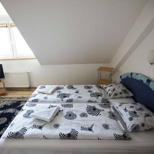 Camera dubla cu duș cu grădină