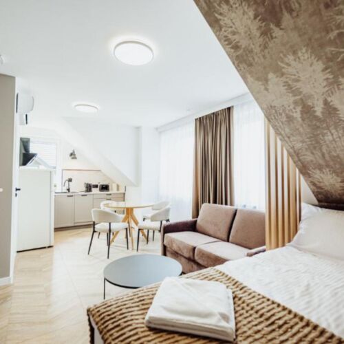 Apartament 4-osobowy z 1 pomieszczeniem sypialnianym
