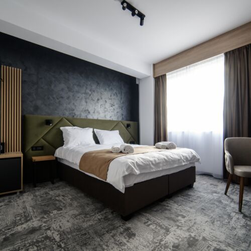 Camera dubla deluxe cu vedere spre grădină