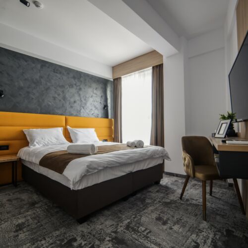 Camera dubla deluxe cu vedere spre grădină