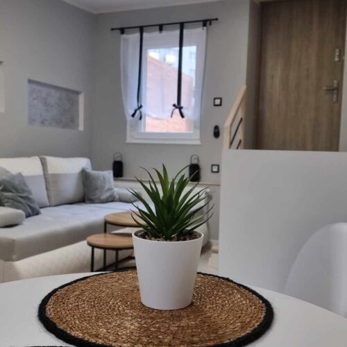 Apartament 2-osobowy na parterze Standard z 1 pomieszczeniem sypialnianym