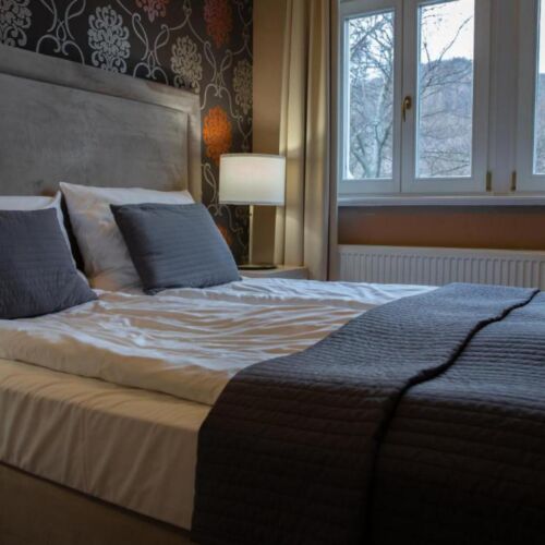 Pokój 2-osobowy Pałac Standard