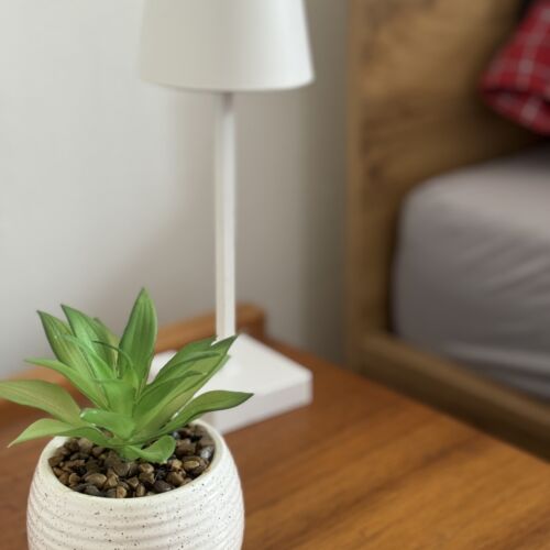 Ganzes Haus Appartement