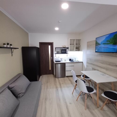 Business Comfort 1-Room Apartment for 4 Persons