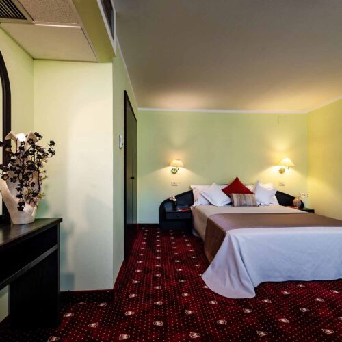 Suita la etaj cu vedere spre munte cu 1 camera pentru 2 pers.