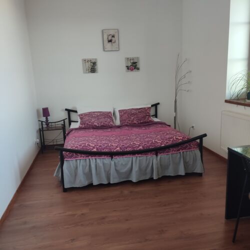 Pokoj s manželskou postelí s výhledem na řeku s výhledem na město