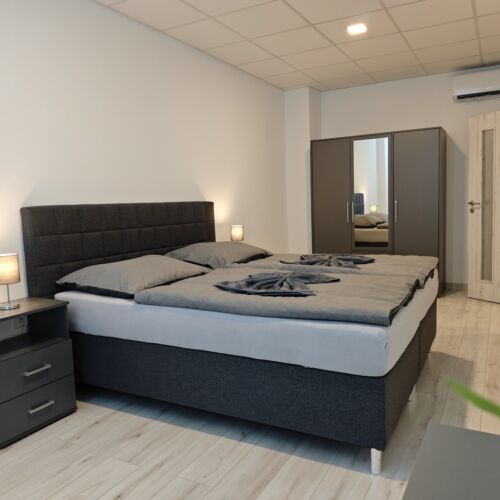 Deluxe Apartmán s klimatizáciou s manželskou posteľou s 1 spálňou