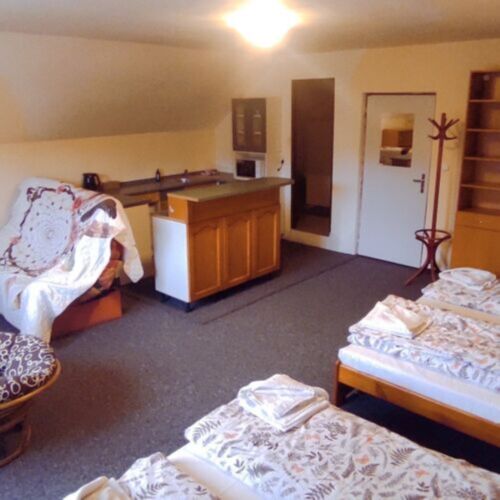 Mountain View Mansard 1-Room Apartment for 4 Persons (extra bed available)