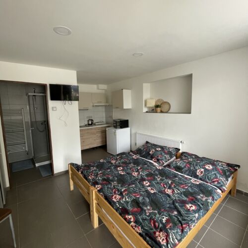 Turistický Apartman s manželskou postelí s 1 ložnicí přízemní (s možností přistýlky)