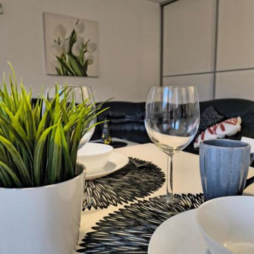 Apartament cu 1 camera pentru 2 pers.