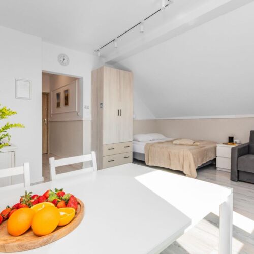 Studio 1-Room Apartment for 4 Persons