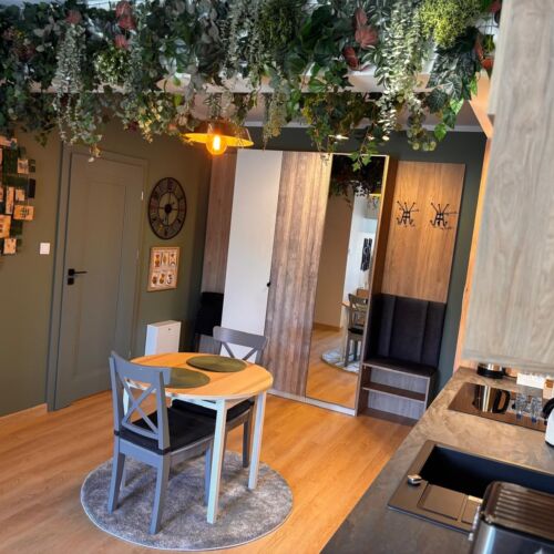 Apartament 2-osobowy na parterze Premium z 1 pomieszczeniem sypialnianym