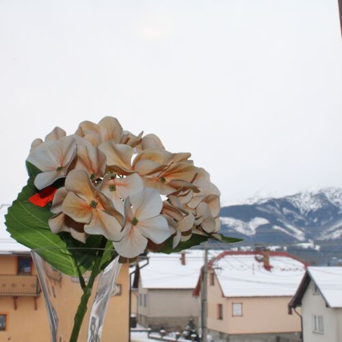 Apartman pro 5 os. se 2 ložnicemi s výhledem na hory na poschodí