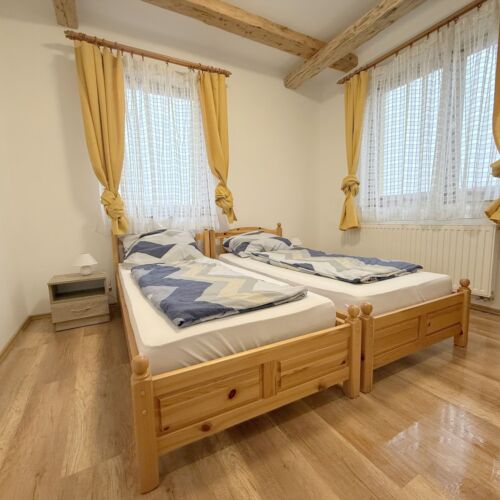 Camera twin classic cu bucătărie comună