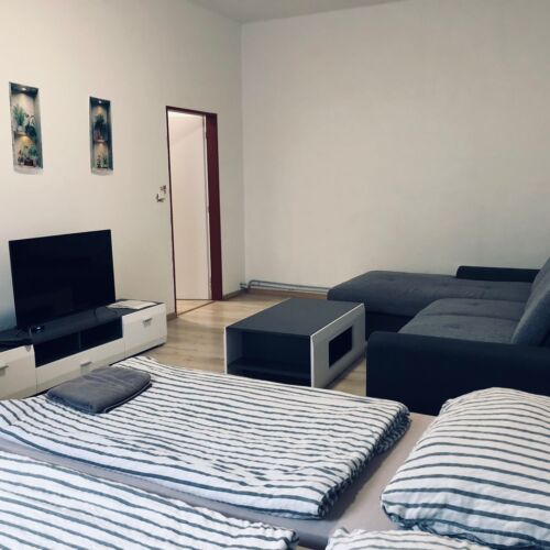2-Room Apartment for 5 Persons (extra beds available)