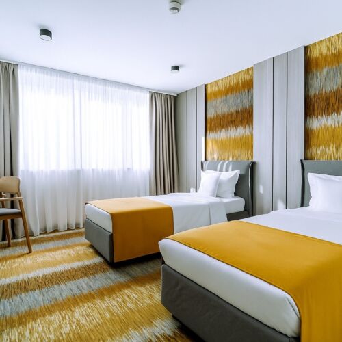 Camera twin standard