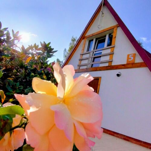 Întreaga unitate întreaga unitate cu vedere spre pădure pentru 6 pers. (se inchirieaza doar integral)