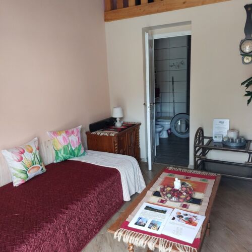 Apartman (jako celek) s galérií pro 4 os. celý Dům