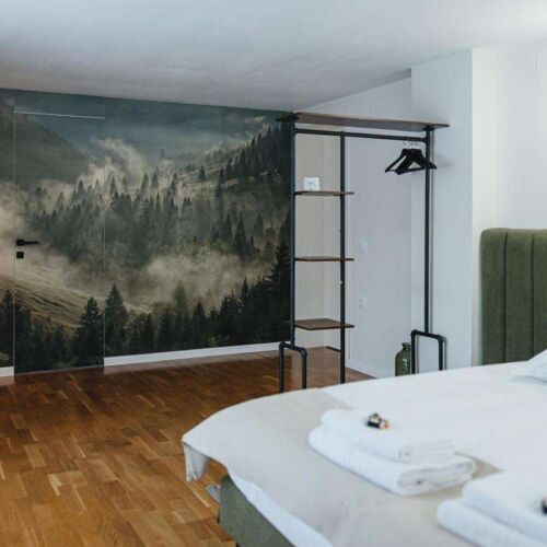 Pokój 2-osobowy Deluxe z widokiem na las (możliwa dostawka)