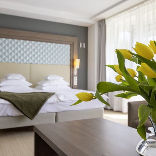 Camera dubla lux cu balcon