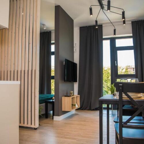 Apartament 4-osobowy Studio z 1 pomieszczeniem sypialnianym