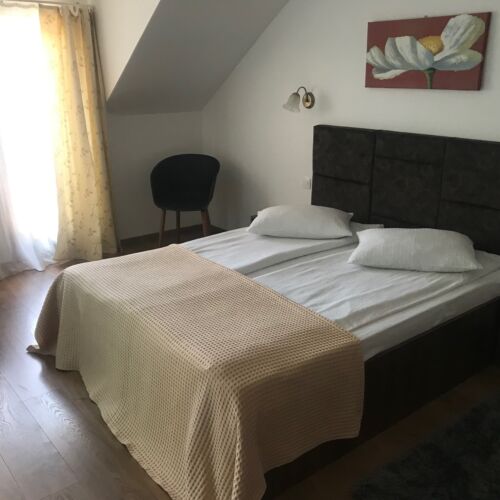 Camera dubla cu vedere spre grădină