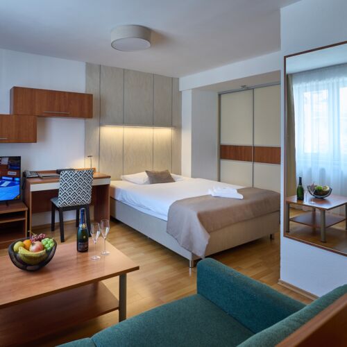 Camera single economy cu bucătărie proprie