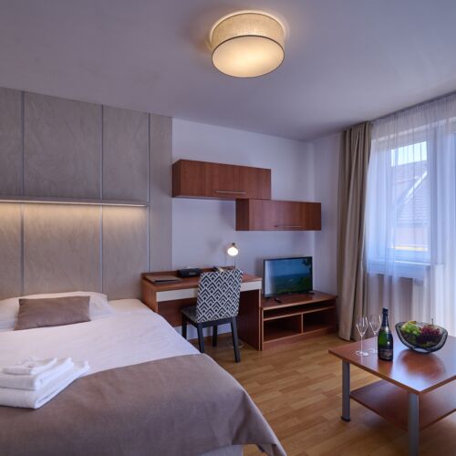 Camera single confort cu bucătărie proprie